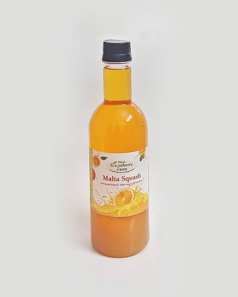 Malta Squash - Image 1