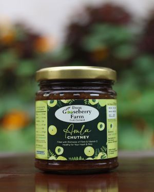 Amla Chutney