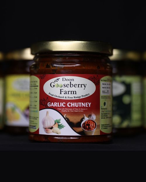 Garlic Chutney